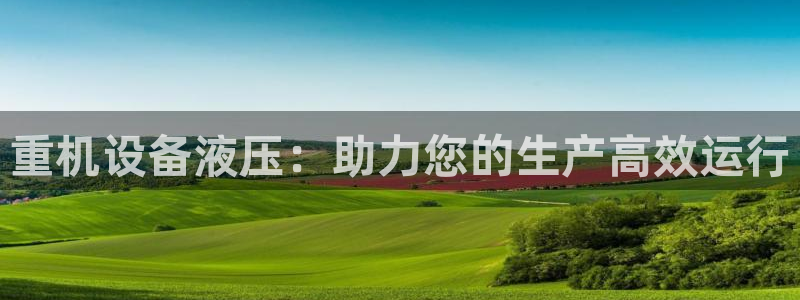 辉达娱乐电子游艺