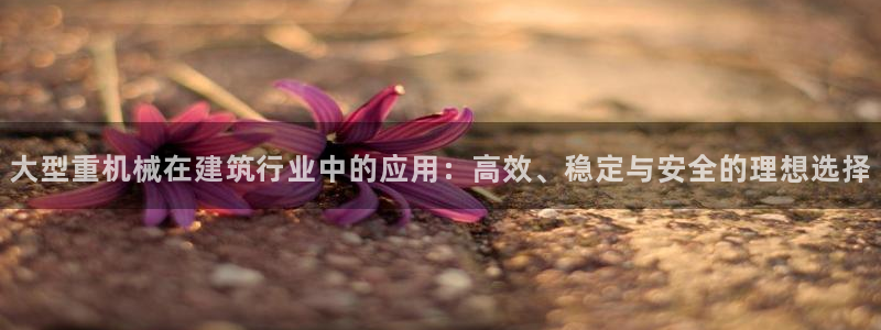 专业辉达娱乐平台