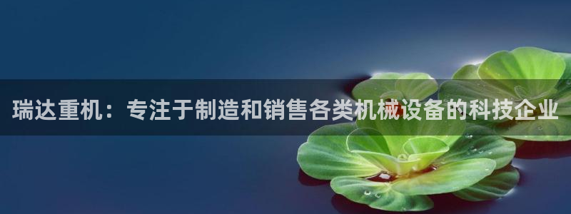 辉达平台娱乐怎么样