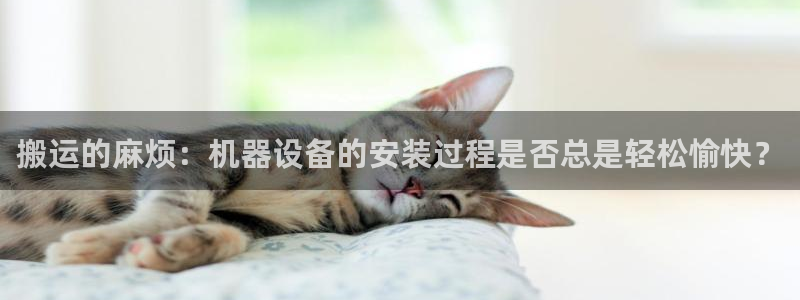 辉达娱乐待遇
