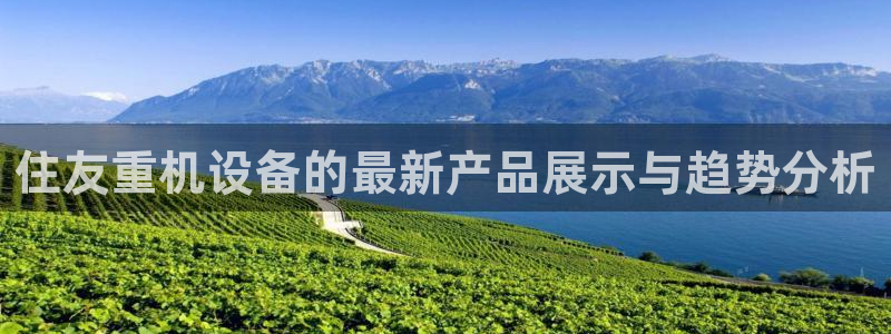 辉达娱乐丿39444