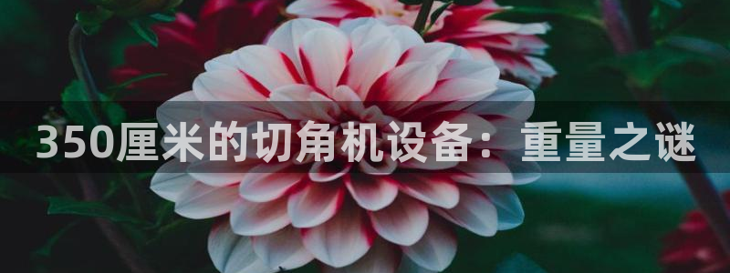 辉达娱乐计划软件