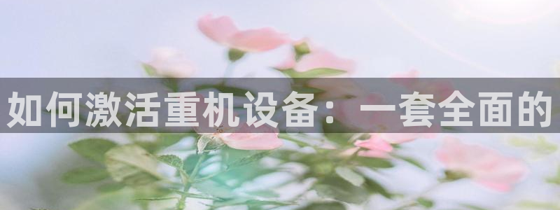 辉达娱乐游戏.直开.中国