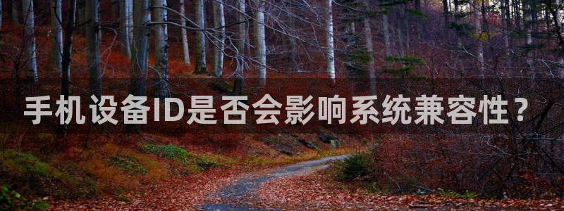 辉达娱乐最新版本更新内容