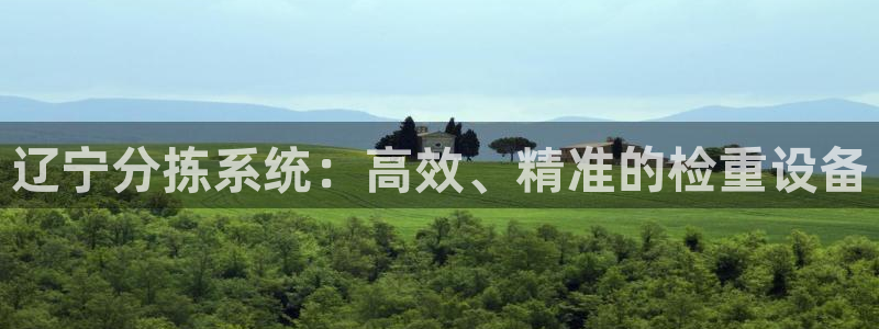 辉达娱乐游戏.直开.中国