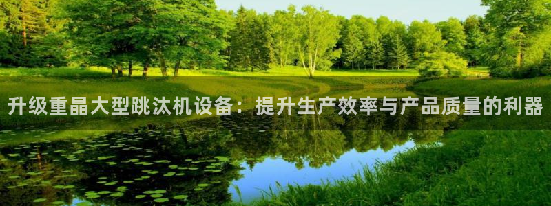 辉达平台注册流程