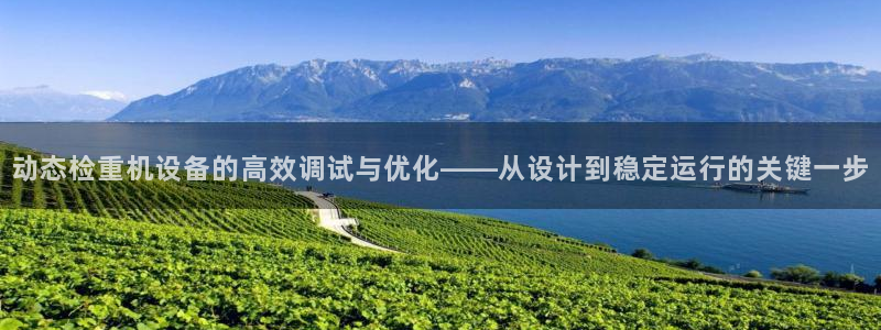 辉达娱乐丿39444