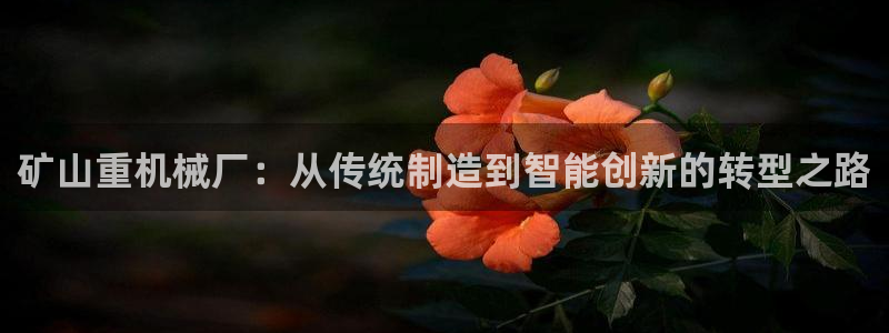 辉达娱乐时时彩平台