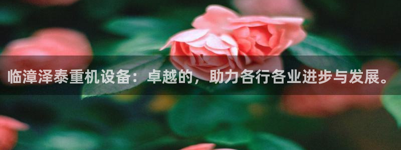 信誉辉达娱乐官方网址：临漳泽泰重机设备：卓越的，助力各行各业