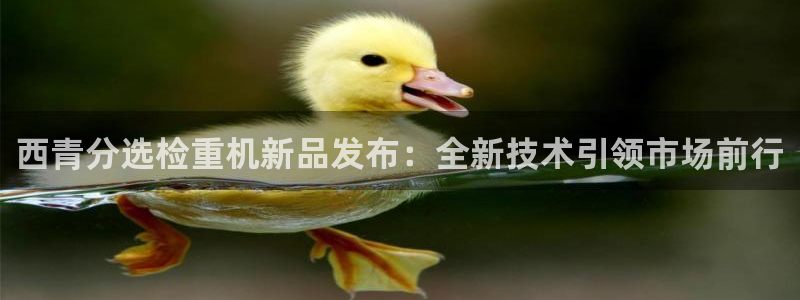 代理辉达娱乐：西青分选检重机新品发布：全新技术引领市场前行