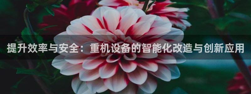 代理辉达娱乐：提升效率与安全：重机设备的智能化改造与创新应用