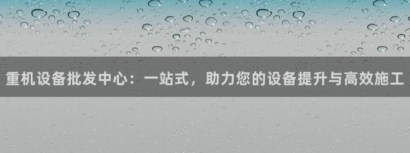 辉达娱乐ag游戏平台：重机设备批发中心：一站式，助力您的设备