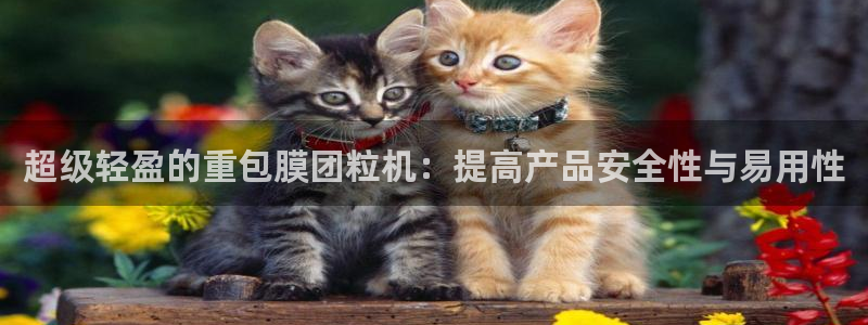 恒达娱乐辉70667：超级轻盈的重包膜团粒机：提高产品安全性