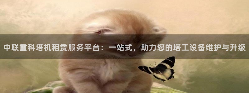 辉达娱乐电子游艺：中联重科塔机租赁服务平台：一站式，助力您的