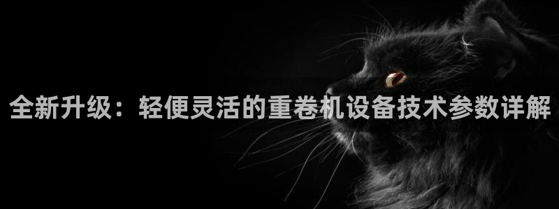辉达平台注册入口：全新升级：轻便灵活的重卷机设备技术参数详解