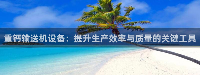 辉达平台官网网站：重钙输送机设备：提升生产效率与质量的关键工