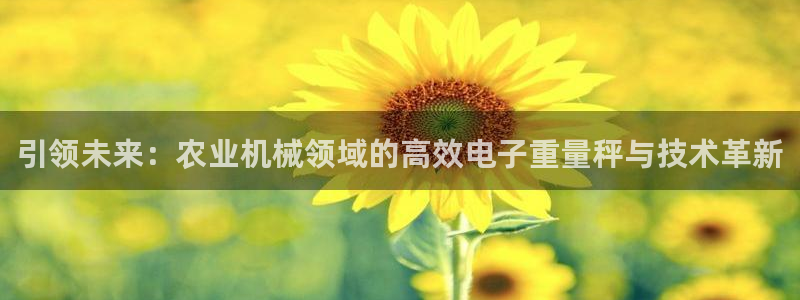 辉达娱乐体彩：引领未来：农业机械领域的高效电子重量秤与技术革