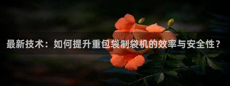 辉达平台注册：最新技术：如何提升重包袋制袋机的效率与安全性？