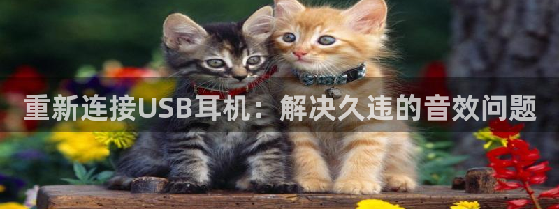 辉达娱乐最新消息新闻：重新连接USB耳机：解决久违的音效问题