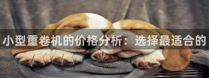 辉达娱乐新疆时时彩：小型重卷机的价格分析：选择最适合的
