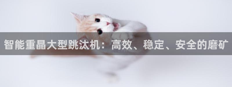 辉达平台官网网站