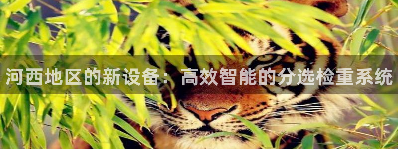 辉达娱乐排列三：河西地区的新设备：高效智能的分选检重系统