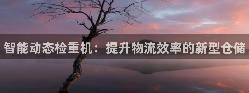 辉达平台注册流程