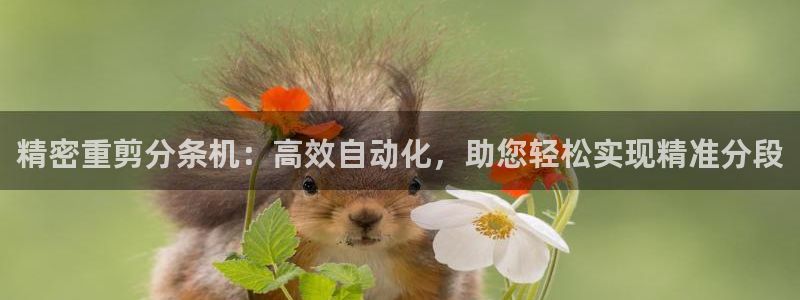 辉达娱乐官网