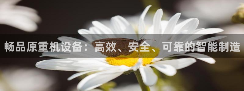 信誉辉达娱乐官方网址