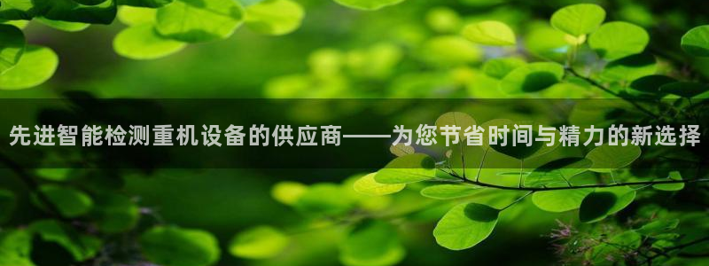 辉达娱乐多少年：先进智能检测重机设备的供应商——为您节省时间
