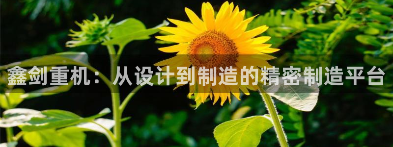 辉达官网登录入口入口：鑫剑重机：从设计到制造的精密制造平台