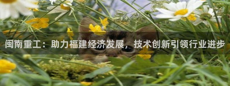 辉达娱乐平台：闽南重工：助力福建经济发展，技术创新引领行业进