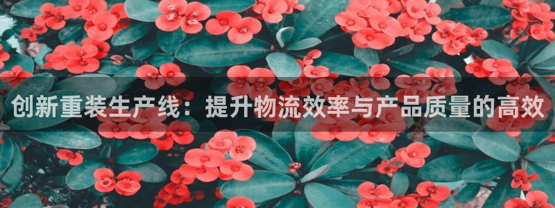 辉达娱乐计划软件：创新重装生产线：提升物流效率与产品质量的高