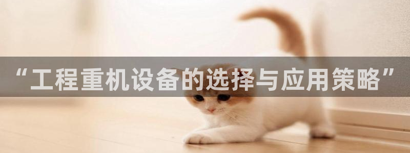 辉达娱乐官网：“工程重机设备的选择与应用策略”