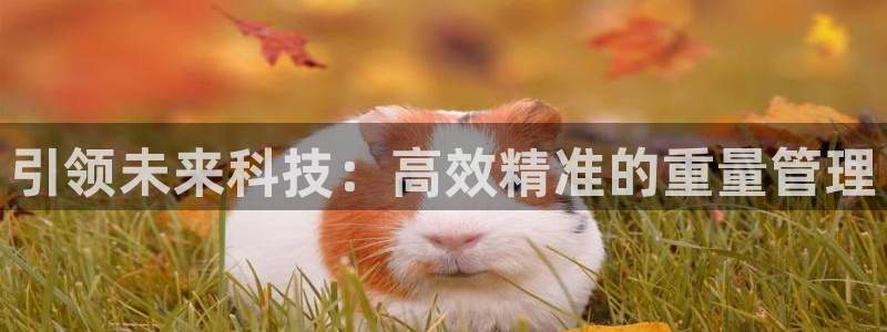 辉达娱乐123123