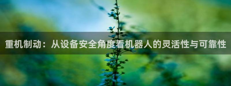 辉达娱乐排列三：重机制动：从设备安全角度看机器人的灵活性与可