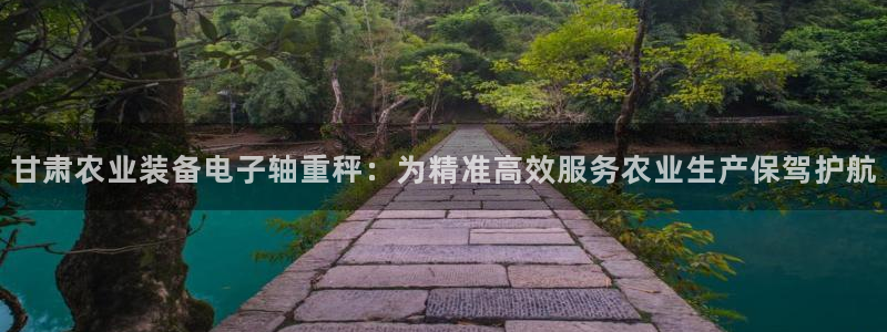 辉达娱乐加q75775稳定
