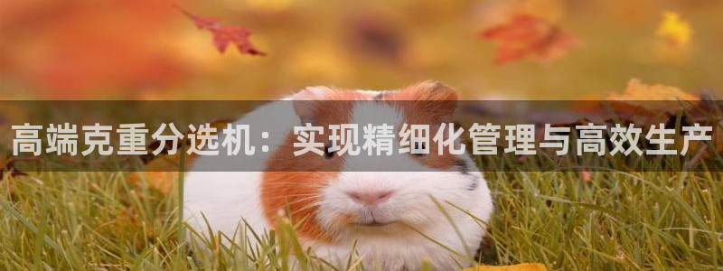 辉达集团官方网站