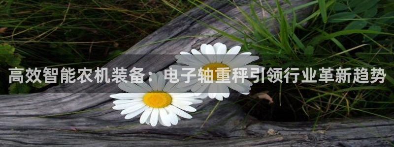 专业辉达娱乐官方网址