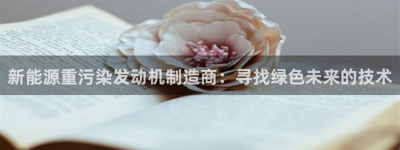 辉达平台娱乐怎么样：新能源重污染发动机制造商：寻找绿色未来的