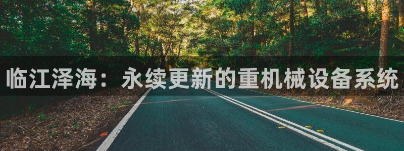 辉达娱乐属于什么档次：临江泽海：永续更新的重机械设备系统