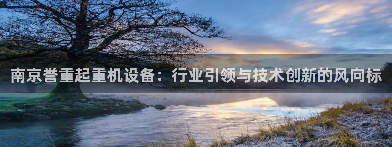 辉达娱乐总部：南京誉重起重机设备：行业引领与技术创新的风向标