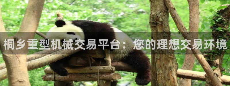 辉达娱乐己39444