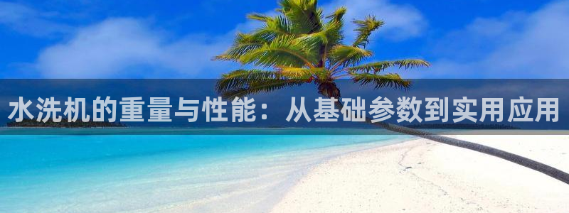 辉达娱乐体彩：水洗机的重量与性能：从基础参数到实用应用