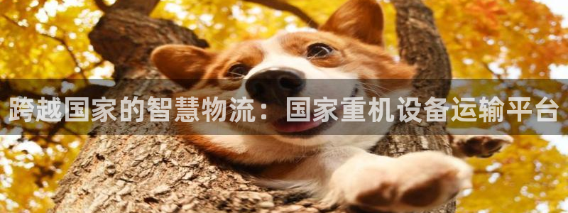 专业辉达娱乐在线游戏