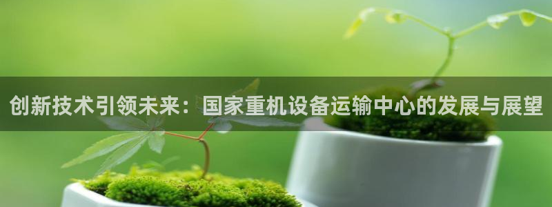 辉达娱乐招商：创新技术引领未来：国家重机设备运输中心的发展与