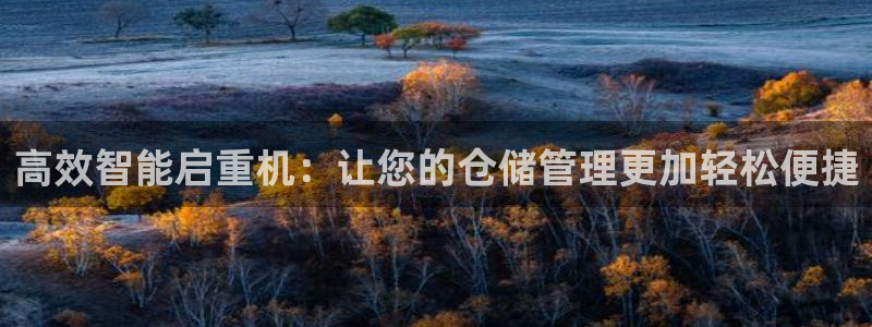 辉达娱乐加扣75775：高效智能启重机：让您的仓储管理更加轻