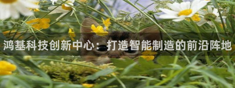 辉达娱乐电子游艺：鸿基科技创新中心：打造智能制造的前沿阵地