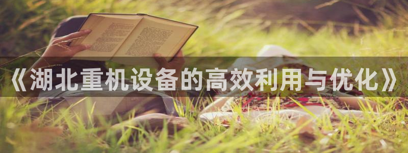 辉达娱乐检测
