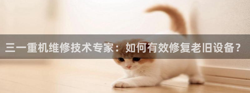 辉达娱乐丶75505：三一重机维修技术专家：如何有效修复老旧